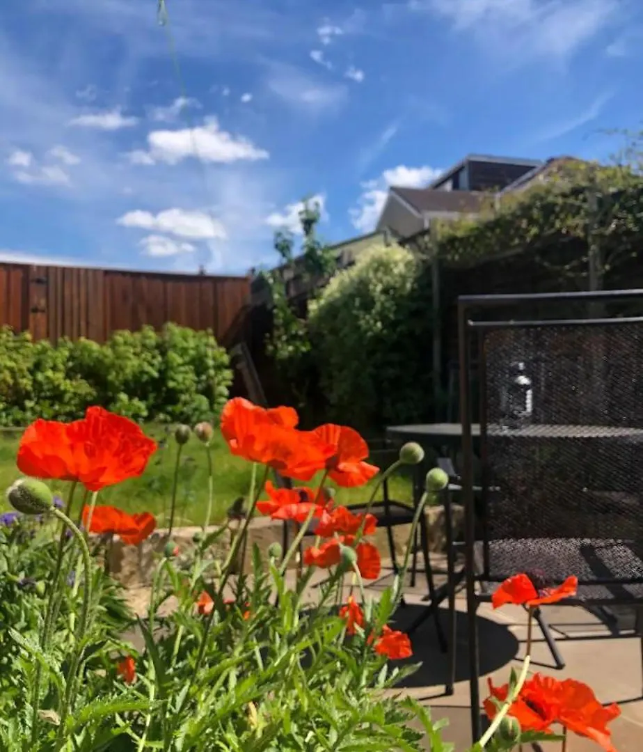 Spacious*Close To City*Parking*Dogs Allowed Bath